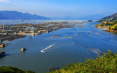 1647842569135245.png 池塘.png