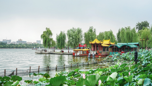 1647941102355003.png 湖.png