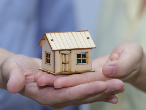 1774926832438966.jpg 1.jpg