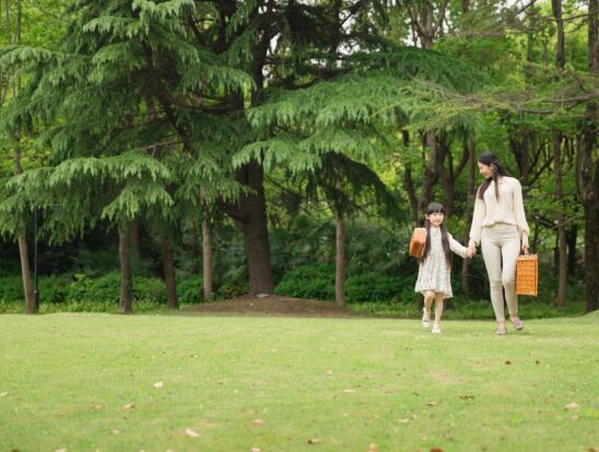 1650853944286683.jpg 1.jpg